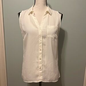 The Limited Blouse